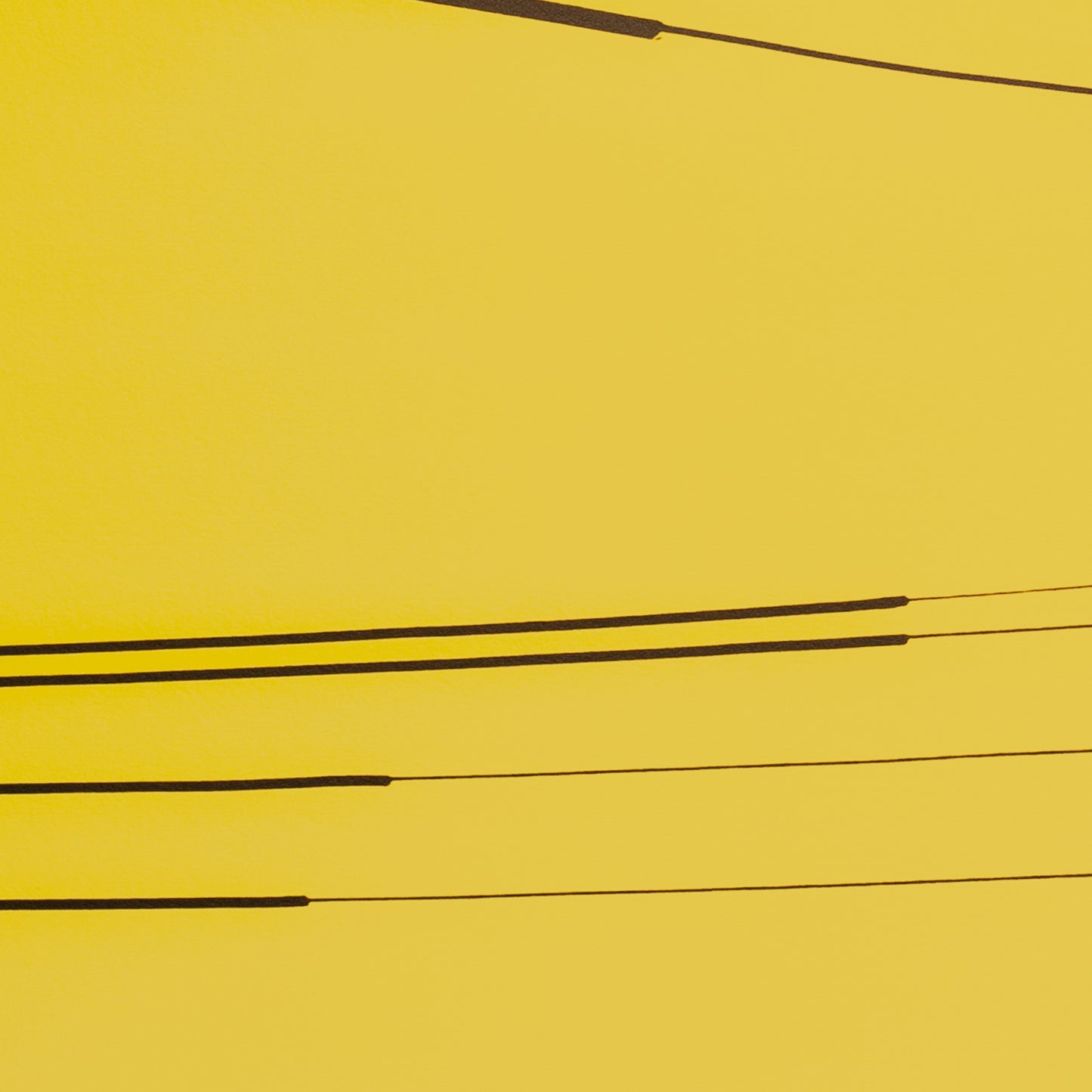 WIRED YELLOW