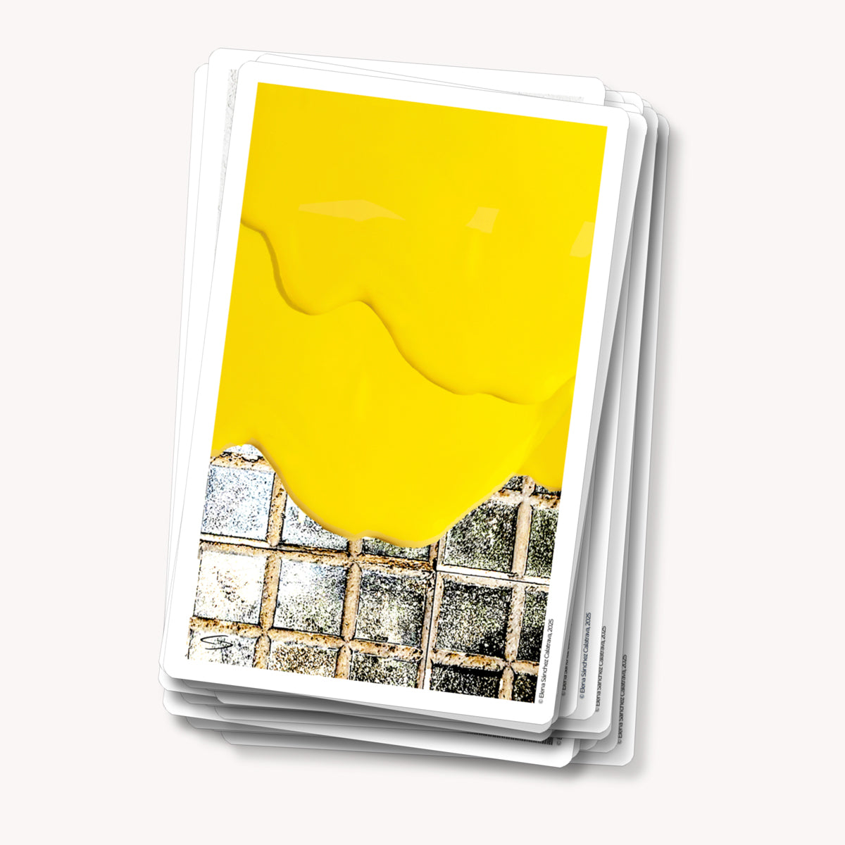 PREVENTA ESPECIAL - DÚO Evolutional Cards®