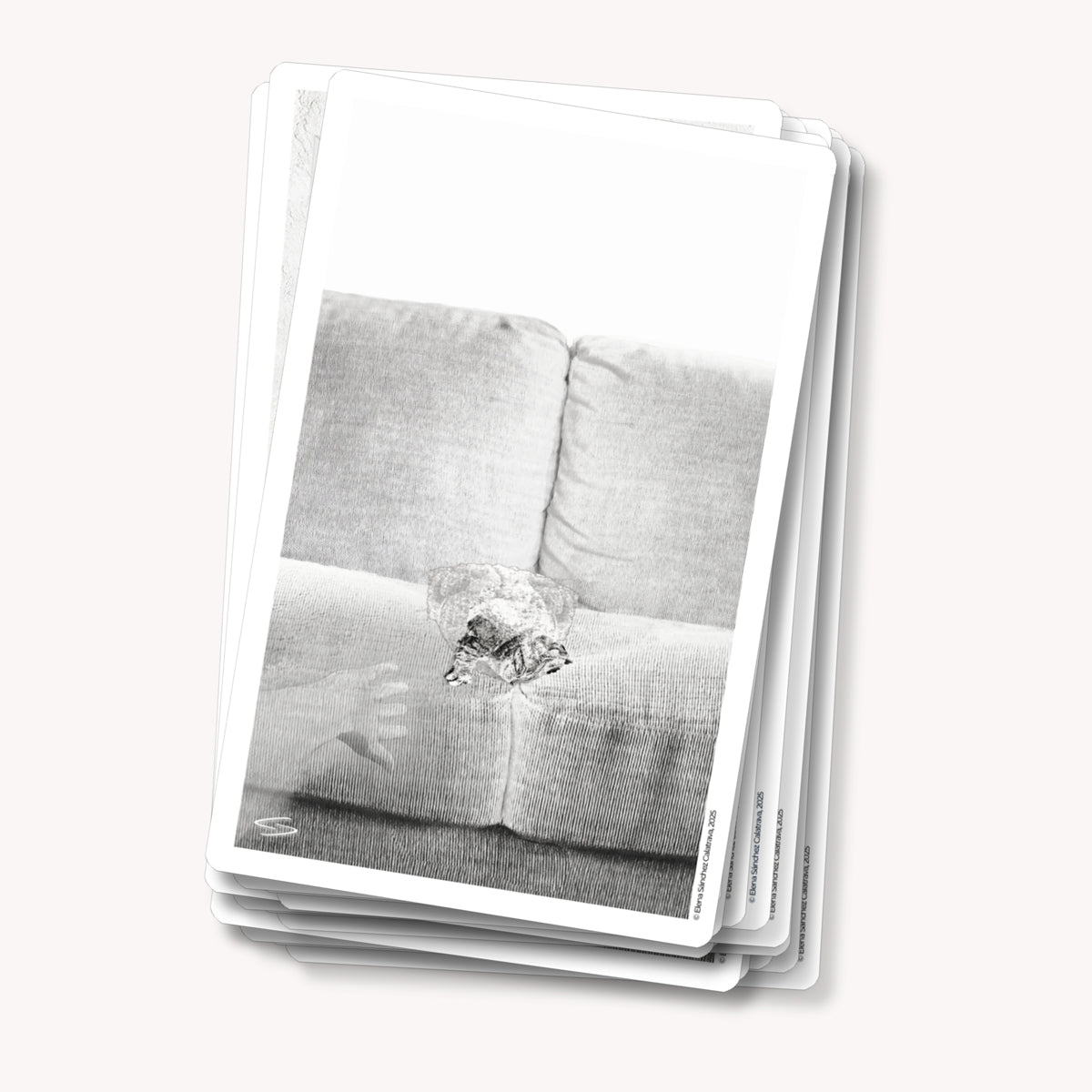 PREVENTA ESPECIAL - DÚO Evolutional Cards®